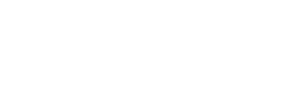 Polaris Logo